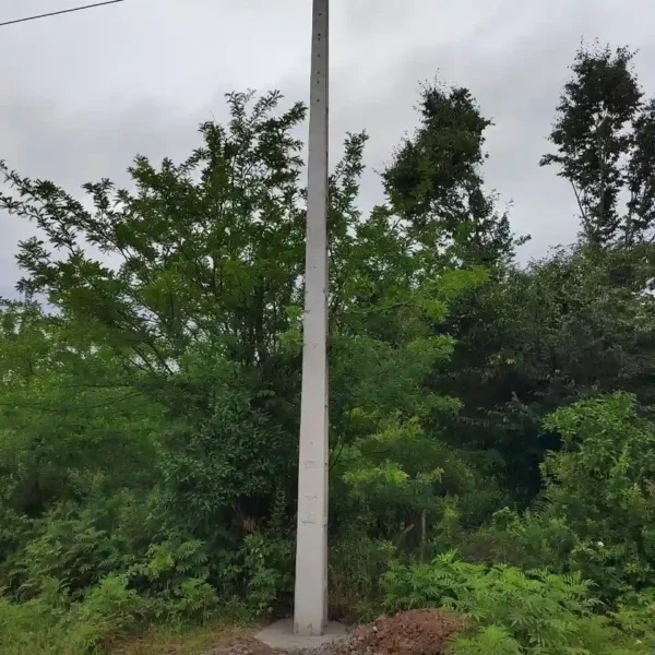 IMG 20260902 152403 792 600x600