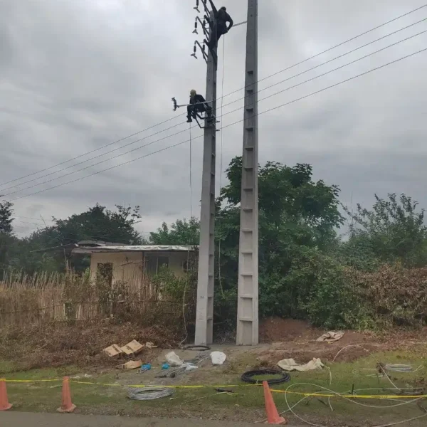 IMG 20260902 152404 100 600x600