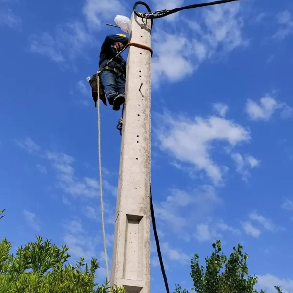 IMG 20260902 152902 652 600x600