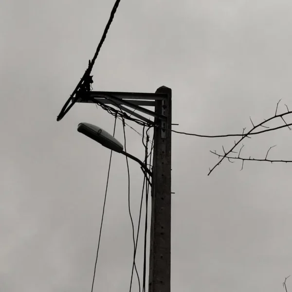 IMG 20260902 153051 399 600x600