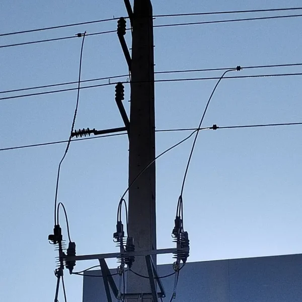 IMG 20260902 153307 884 600x600